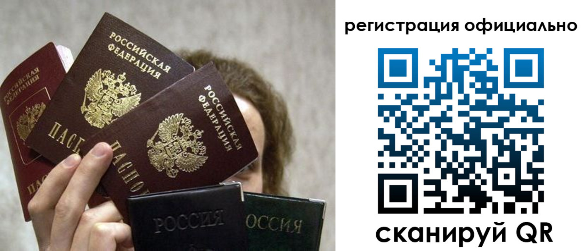 где прописаться в Пушкино